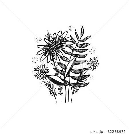Cute sketch hand drawn flower bouquet illustration Cute sketch hand drawn flower bouquet illustration 82288975