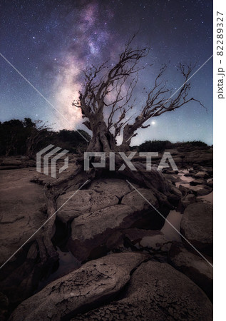 Milky way galaxy with Dry tree Khang chiang mob. 82289327