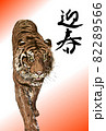 年賀状　寅 82289566