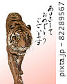 年賀状　寅 82289567