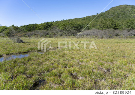 快晴の栃木県那須塩原市沼っ原湿原の風景 82289924