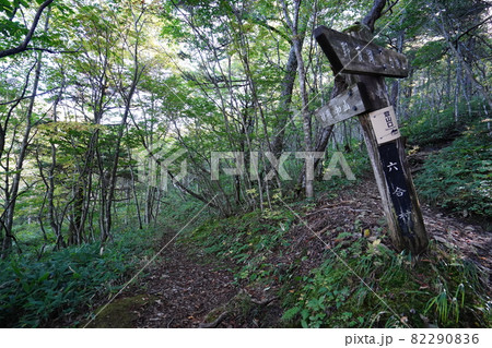 群馬県野反湖 野反湖登山口から白砂山へ登る登山道にある新潟県方面への地蔵峠 群馬県野反湖 野反湖登山口から白砂山へ登る登山道にある新潟県方面への地蔵峠 82290836