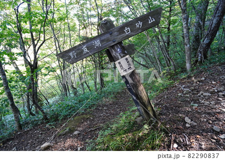 群馬県野反湖 野反湖登山口から白砂山へ登る登山道にある新潟県方面への地蔵峠 群馬県野反湖 野反湖登山口から白砂山へ登る登山道にある新潟県方面への地蔵峠 82290837