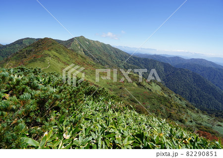 野反湖登山口から白砂山へ登る登山道にある堂岩山の山頂から少し先の堂岩分岐付近から見える白砂山 野反湖登山口から白砂山へ登る登山道にある堂岩山の山頂から少し先の堂岩分岐付近から見える白砂山 82290851