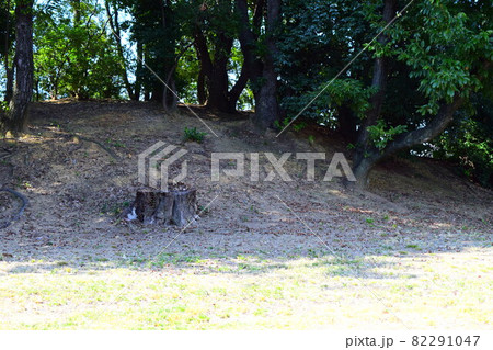 文珠塚古墳 82291047