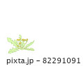 春に芽吹いたタンポポの手描き風イラスト 82291091