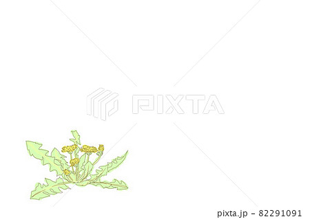 春に芽吹いたタンポポの手描き風イラスト 春に芽吹いたタンポポの手描き風イラスト 82291091