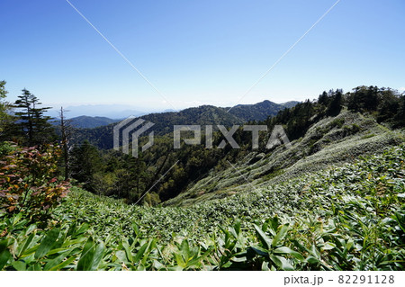 白砂山へ登る登山道にある堂岩分岐から八間山へ向かう登山道から八間山方面を見る 白砂山へ登る登山道にある堂岩分岐から八間山へ向かう登山道から八間山方面を見る 82291128