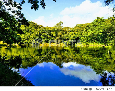 感動する美しさの北海道・大沼国定公園 82291377