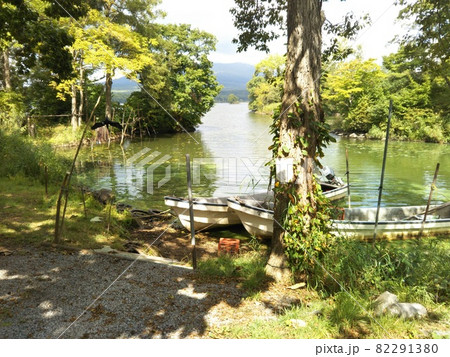 感動する美しさの北海道・大沼国定公園 82291380
