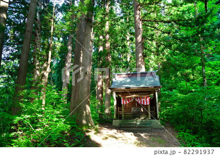 杜々の森名水公園(新潟県) 杜々の森名水公園(新潟県) 82291937