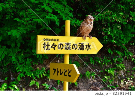 杜々の森名水公園(新潟県) 杜々の森名水公園(新潟県) 82291941