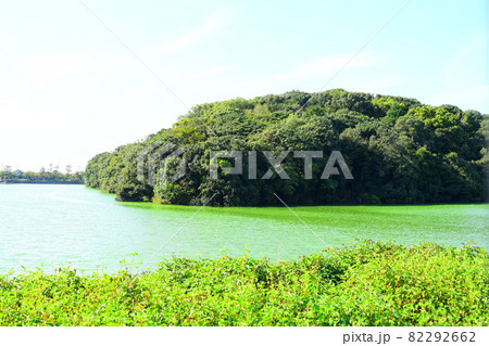 上石津ミサンザイ古墳【世界遺産】 82292662