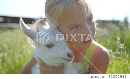 A six-year-old girl in a meadow gently hugs a small white goat. A six-year-old girl in a meadow gently hugs a small white goat. 82292911