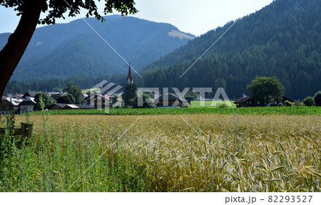 Fields of the alpine country Fields of the alpine country 82293527