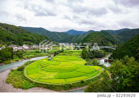 夏のあらぎ島 82293620