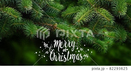 Merry Christmas Greeting card, banner with lettering on green fir tree branches Background Merry Christmas Greeting card, banner with lettering on green fir tree branches Background 82293625