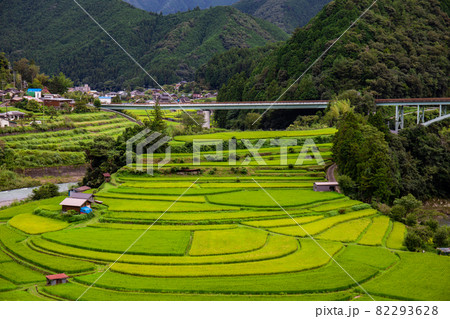 夏のあらぎ島 夏のあらぎ島 82293628