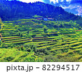 愛媛県内子町の棚田 82294517