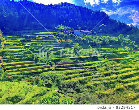 愛媛県内子町の棚田 愛媛県内子町の棚田 82294517
