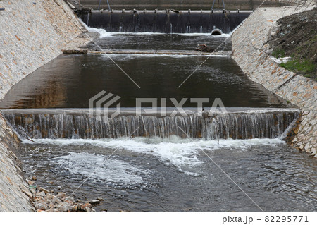 Fish pond farm 82295771