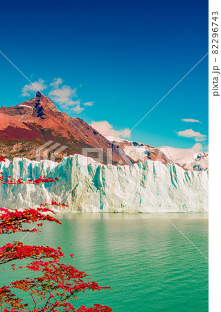 Wonderful view at the huge Perito Moreno glacier in Patagonia in golden Autumn, South America 82296743