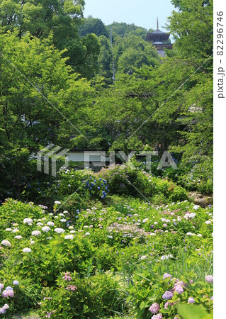 長法寺 2 長法寺 2 82296746