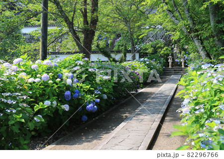 長法寺　21 82296766