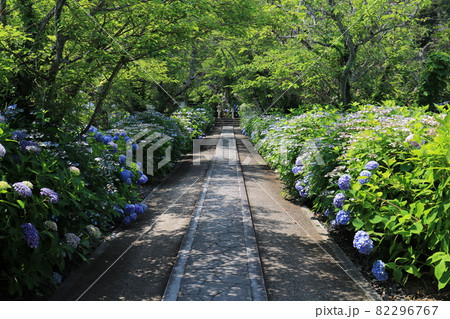 長法寺 22 長法寺 22 82296767
