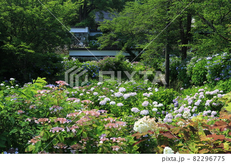 長法寺 30 長法寺 30 82296775