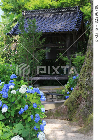 長法寺 41 長法寺 41 82296786