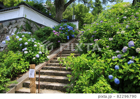 長法寺 45 長法寺 45 82296790