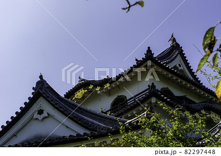 彦根城 天守 滋賀県彦根市 彦根城 天守 滋賀県彦根市 82297448