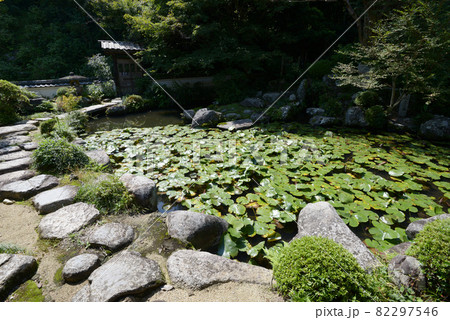 当麻寺 香藕園 奈良県葛城市 当麻寺 香藕園 奈良県葛城市 82297546