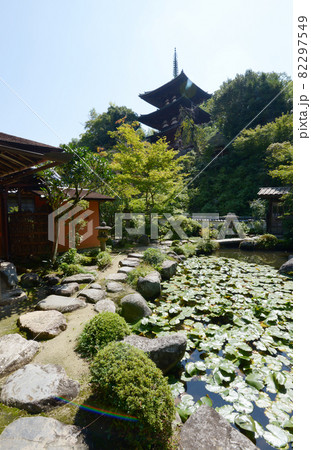 当麻寺 香藕園と東塔 奈良県葛城市 当麻寺 香藕園と東塔 奈良県葛城市 82297549