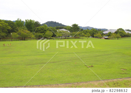 奈良公園･春日野園地/奈良県奈良市雑司町 82298632