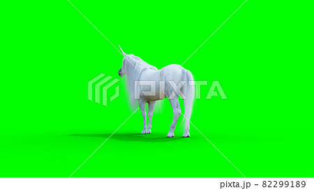 standing white magical unicorn. Green screen isolate. 3d rendering. 82299189