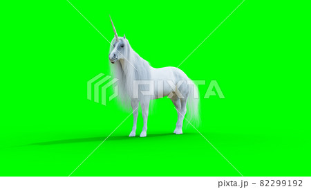 standing white magical unicorn. Green screen isolate. 3d rendering. 82299192