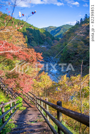 三波石峡　遊歩道からの眺め　秋の風景　紅葉の季節　　 82299851