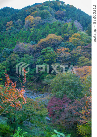 三波石峡 遊歩道からの眺め 秋の風景 紅葉の季節 三波石峡 遊歩道からの眺め 秋の風景 紅葉の季節 82300212