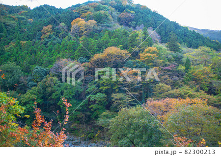 三波石峡 遊歩道からの眺め 秋の風景 紅葉の季節 三波石峡 遊歩道からの眺め 秋の風景 紅葉の季節 82300213