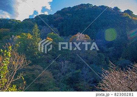 三波石峡　遊歩道からの眺め　秋の風景　紅葉の季節　　 82300281