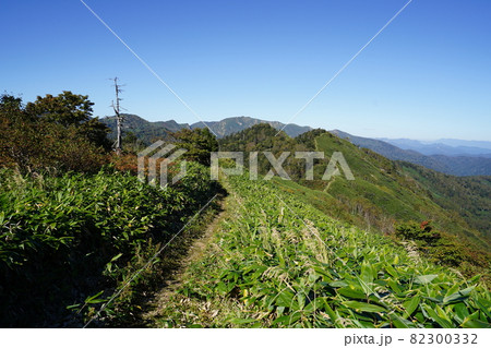 群馬県野反湖 八間山山頂から白砂山方面を見る 群馬県野反湖 八間山山頂から白砂山方面を見る 82300332