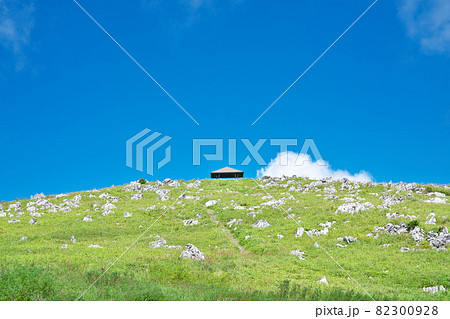 【四国カルスト (天狗高原展望台)】 高知県高岡郡津野町芳生野 【四国カルスト (天狗高原展望台)】 高知県高岡郡津野町芳生野 82300928