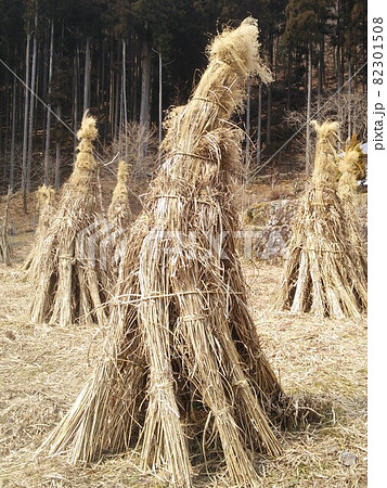 ふるさとの秋空と田園の稲穂 ふるさとの秋空と田園の稲穂 82301508