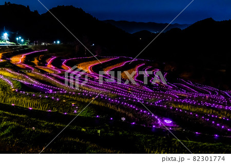 千葉県鴨川市 大山千枚田のイルミネーション 千葉県鴨川市 大山千枚田のイルミネーション 82301774