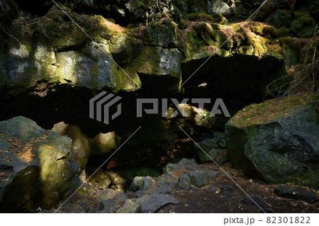 富士風穴 富士風穴 82301822