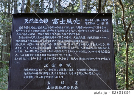 富士風穴の案内板 富士風穴の案内板 82301834