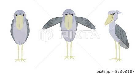 ハシビロコウ鳥のイラストセット 82303187