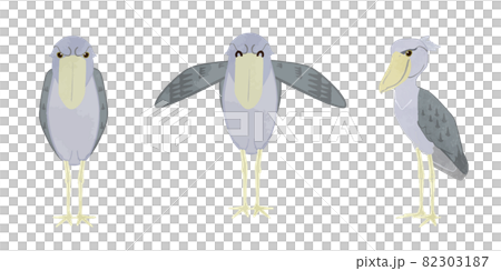 Shoebill bird illustration set 82303187
